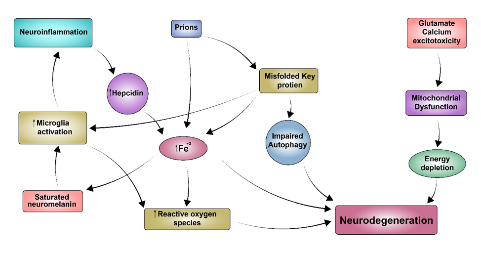 science-introduction-img