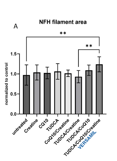 nfh-filament-area